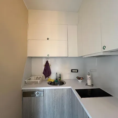 Apartment Cozy Beige In Vracar *